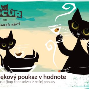 Darčeková poukážka v hodnote 30 € Kocúr káva a bistro v Martine