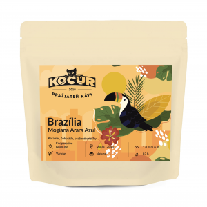 Brazília Mogiana Arara Azul