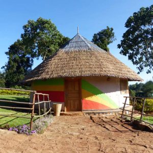 Naturálna káva Etiópia Guji Alaka Kocúr pražiareň v Martine